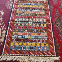 گلیم مرینوس