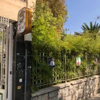 باریستا حرفه ای