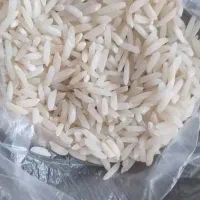 برنج طارم هاشمی گیلان در کیسه های ۱۰ کیلویی