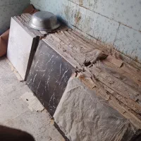 شادگان