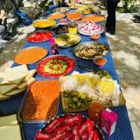 اقساطی سفر کن
