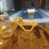 نظافت منزل و مشاعات