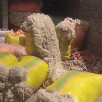 پشم فروشی