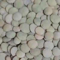 عدس تازه