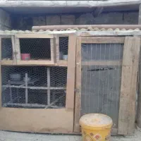 قفس چوبی بزرگ