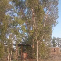 زمین-کشاورزی