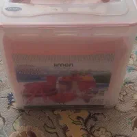 ظرف مسافرتی