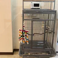 قفس پرنده