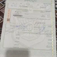 برگ سبز موتور