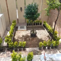 خدمات باغبانی گلکاری سم پاشی تعویض خاک گلدان...