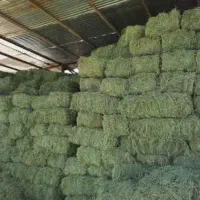 یونجه خشک درجه یک
