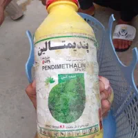 سم علف کش و ...