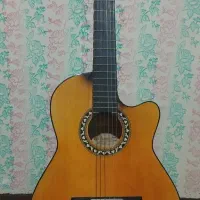 گیتار و پایه نت سناتور