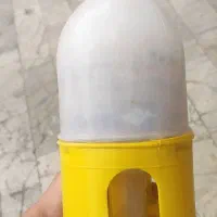 جا آبی پرنده