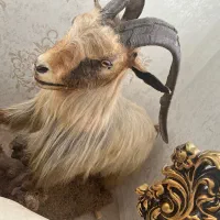 مجسمه بز