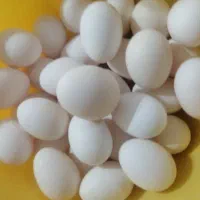 تخم مرغ لری