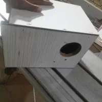 لانه پرنده