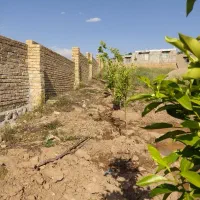 زمین در بخش ویسیان