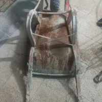 فرغون جنس قدیم و زخیم