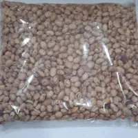 لوبیا چیتی زنجان