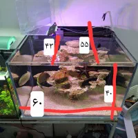 آکواریوم آبشور بکسامپ کامل