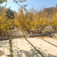 فروش-باغ-ویلا-750-متری