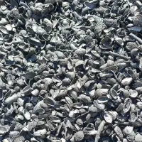 کربن پوست وذغال کبابی سکه ای وقلم پسته