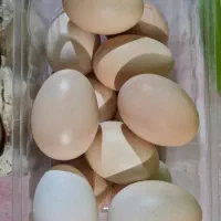 تخم مرغ خوراکی محلی تازه درشت