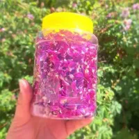 گل محمدی|گل و گیاه طبیعی|قهدریجان, |دیوار