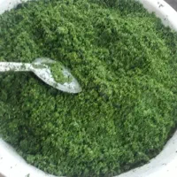 سبزی قرمه پرسرخ محلی گیلان