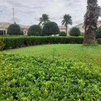 علف تراشی با دستگاه