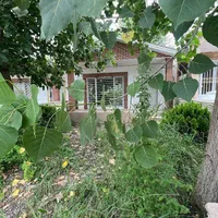 اگه-ویلاباغ-نقلی-میخوای-این-بهترین-انتخابه