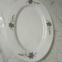 بشقاب ملامین برنج خوری