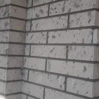 شستوشوی و نانو نما