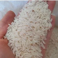 برنج شیرودی درجه ۱