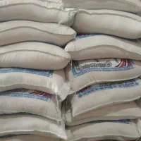 برنج کشت ایرانی