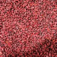 زرشک ا وزعفران اصل قاین