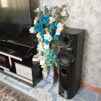 سیستم صوتی خانگی مارک الجی