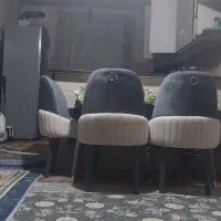خانم جهت نظافت منزل هفته دوبار