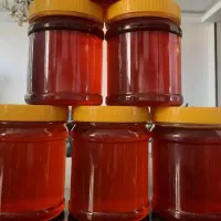 عسل چهل گیاه طبیعی، طعم واقعی طبیعت