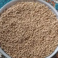 نخود ابگوشتی