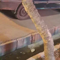 آموزش رانندگی