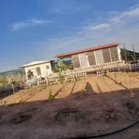 زمین باغی سند تک برگ با اقساط بلند مدت بدون سود