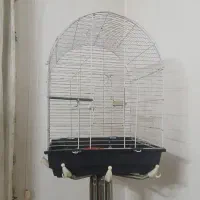 قفس پرندگان