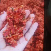 خوراک دام و طیور