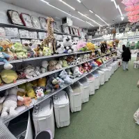 سیسمونی بی بی سنتر، لباسهایی به نرمی پر قو