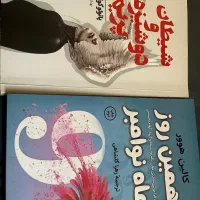 رمان دوشیزه پریم و شیطان/نهمین روز از ماه نوامبر
