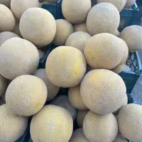 بارفروشی و حق العمل کاری