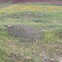 فروش-5000زمین-کاربری-باغ-ویلا