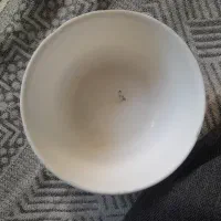اشیائ گم شده